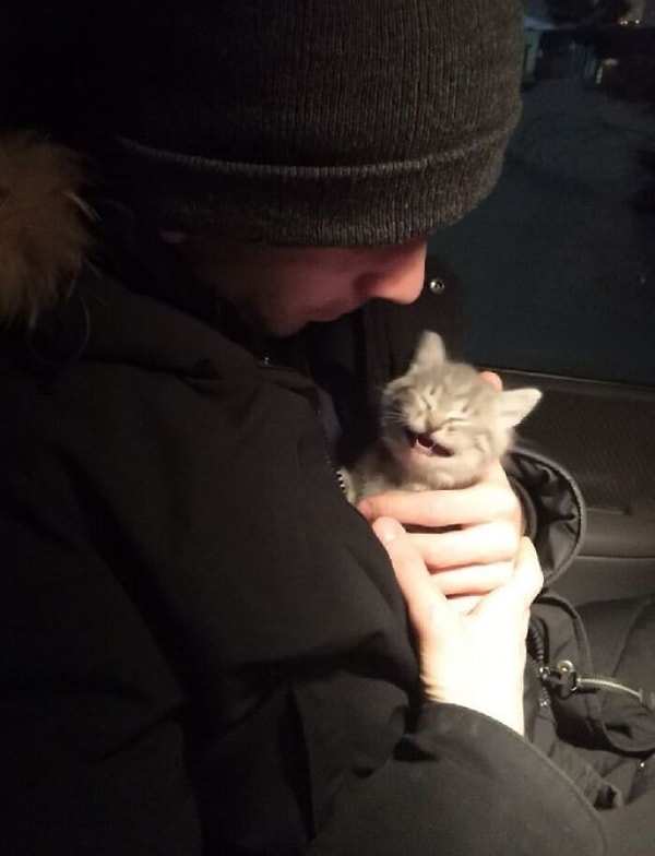 8. Едем в новый дом. Радости полные лапки)