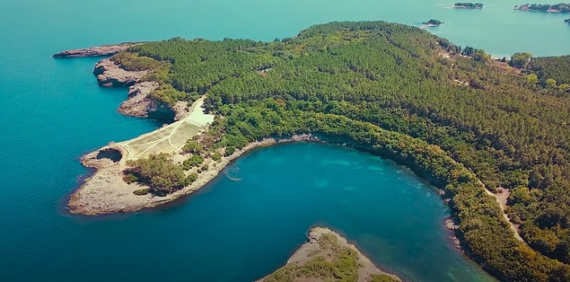 Ülkemizin bu saklı köşesinin en önemli özelliği de orman ve denizin sürekli şekilde iç içe bulunması.
