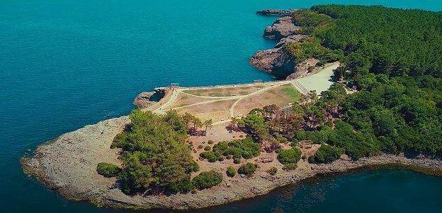 Hamsilos Tabiat Parkı, Karadeniz'deki ria tipi kıyı oluşumun en güzel örneklerinden biri olan Hamsilos Koyu ve Akliman Koyu'nu içerisinde barındırıyor.