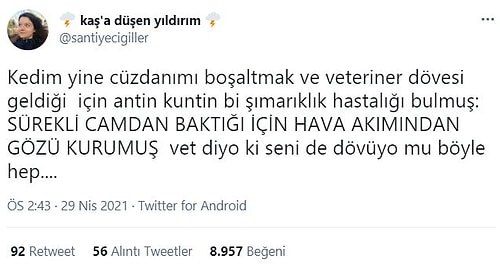 Yaşadıkları Komik Olayları Tweet’leyerek Sizin de Yüzünüzü Güldürüp Gününüzü Kurtaracak 17 Kişi