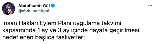 Abdülhamit Gül, İnsan Hakları Eylem Planı'nı Açıkladı: Hangi Hedefler Belirlendi?