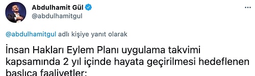 Abdülhamit Gül, İnsan Hakları Eylem Planı'nı Açıkladı: Hangi Hedefler Belirlendi?