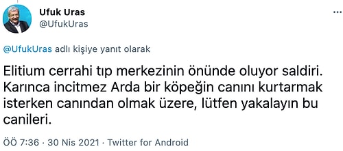 Hasta Köpeği Tedavi Etmeye Giden Veteriner, Trafik Magandalarının Saldırısına Uğradı