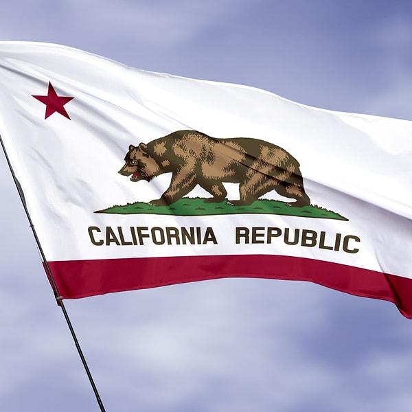 5. Bayrağın üzerinde yer alan Kaliforniya Cumhuriyeti sadece 26 gün boyunca var olabilmiş.