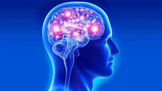 Stres tepkisi beyinde başlar. Duygulardan sorumlu amigdala hipotalamusa mesaj göndererek vücudu tepki vermeye hazırlar.