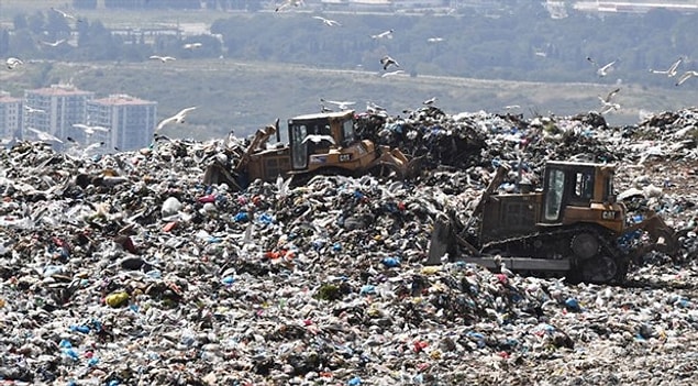 Yabancılara verilen izinlerle doğamız ellerimizden kayıp gidiyor bir de başka ülkelerin çöplerini de alıp katliama devam ediyoruz! Bu nasıl sevgisizliktir yahu?
