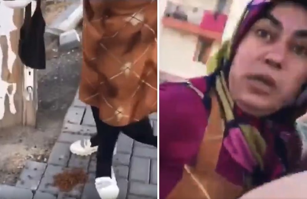 Sokak Hayvanları İçin Konulan Mama ve Kapları Tekmeleyen Kadın Daha Sonra Tepki Gösteren Kişiye Saldırdı