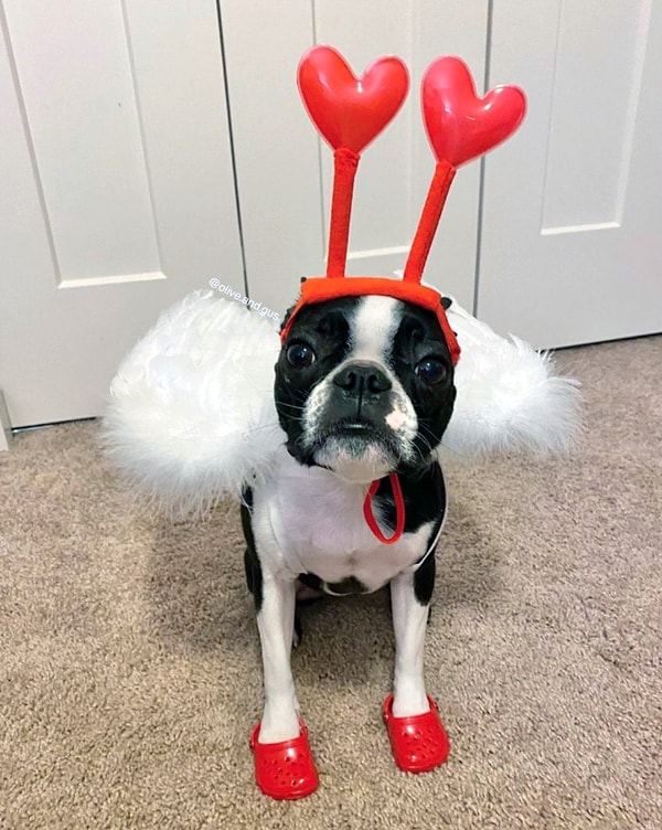 7. Чудо, а не обувь, на дождливую погоду!