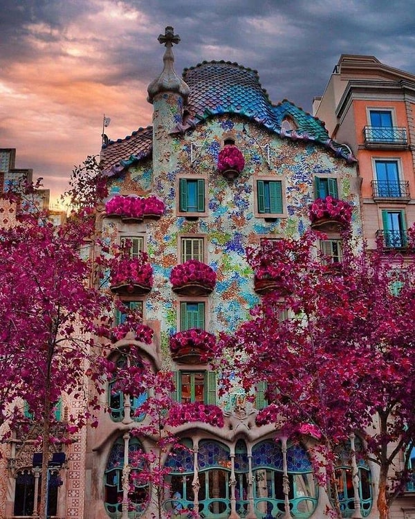 5. Яркие краски города