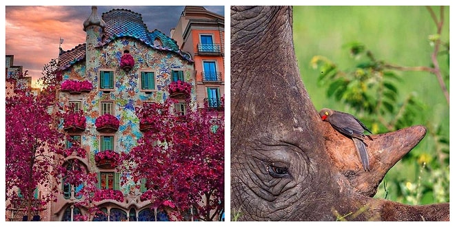 10 доказательств того, что одно фото может стоить тысячу слов