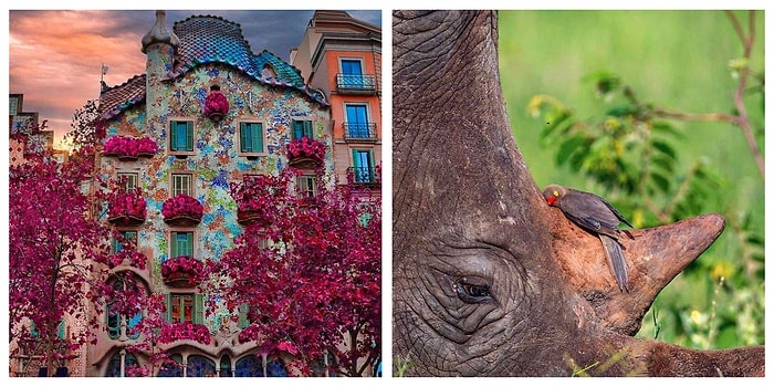 10 доказательств того, что одно фото может стоить тысячу слов