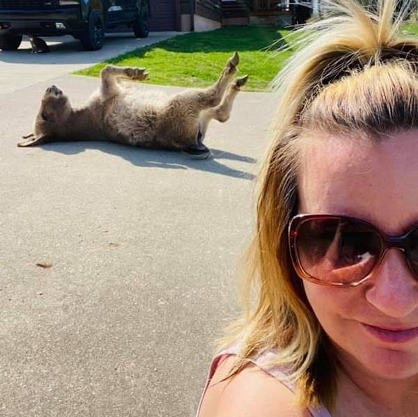 7. Ослик наслаждается весенним солнцем по полной!