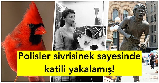 Öğrenmenin Yaşı Yok! Daha Önce Hiçbir Yerde Görmediğiniz Birbirinden İlginç 36 Bilgi