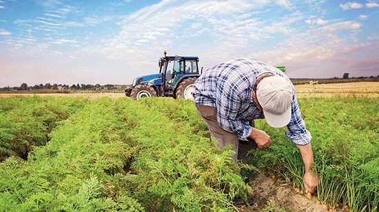 Çiftçi Belgesi Nasıl Alınır? Çiftçi Belgesi Olan Yasaktan Muaf Mı?
