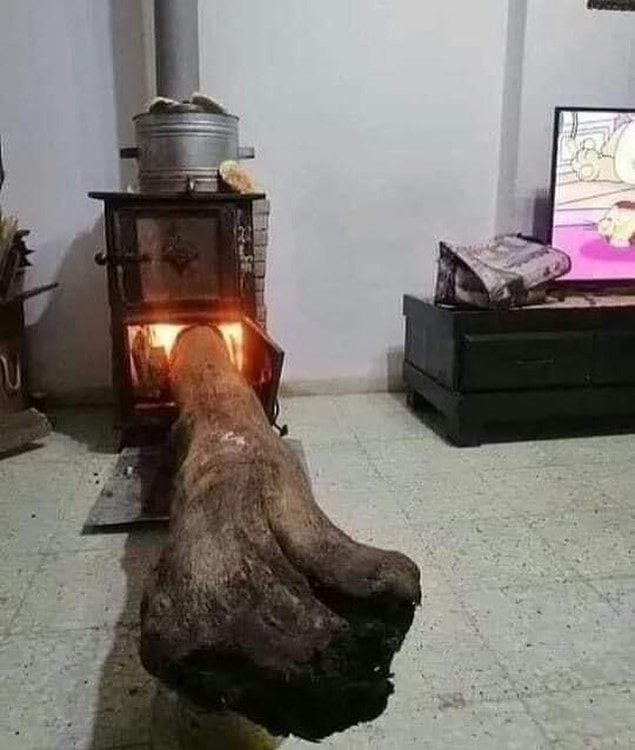 14. Bütün kış rahatız...