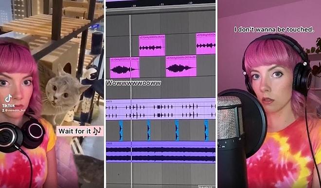 Kedi Miyavlamasını Muhteşem Bir Şarkıya Dönüştüren Yetenekli Müzisyen