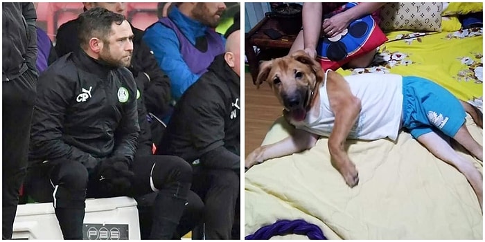 Görünce İnsanın Anlamlandırmayıp Gözlerini Ovuşturacağı Birbirinden Anlamsız 21 Kare