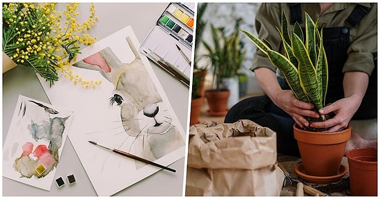 Kapanmada Hangi Hobiye Başlamalısın?