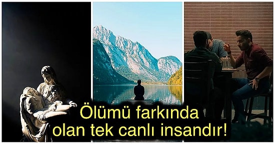 Günlük Hayatın Koşuşturmasında Kaybolurken Benliğimiz Konusunda Gözden Kaçırdığımız İlginç Bilgiler