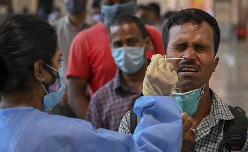 Sıra Onlara Geldi: Hindistan'da 8 Aslanın Koronavirüs Testi Pozitif Çıktı...