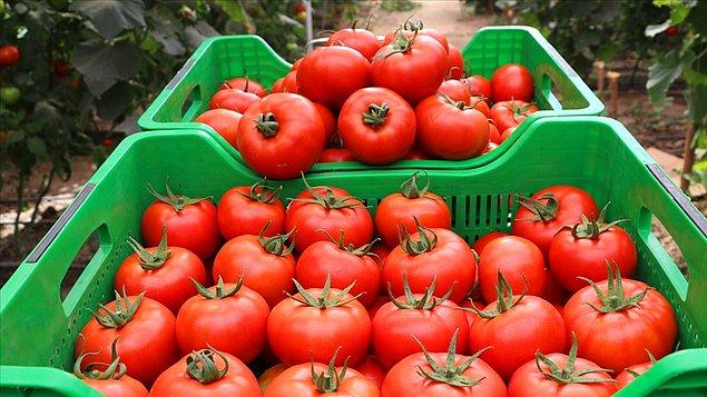 Türk sofralarının en temel gıdalarından biri olan domatesin fiyatı da bir senede %44.2 artmış.