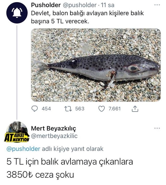 3. 771. Balon balığında kâra geçiyoruz...