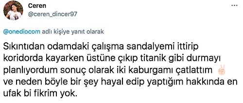 Sıkıntıdan Kafayı Yerken Yaptıkları Saçma ve Komik Davranışlarla Hepimizi Güldüren 18 Takipçi