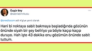 Sıkıntıdan Kafayı Yerken Yaptıkları Saçma ve Komik Davranışlarla Hepimizi Güldüren 18 Takipçi