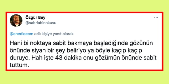 Sıkıntıdan Kafayı Yerken Yaptıkları Saçma ve Komik Davranışlarla Hepimizi Güldüren 18 Takipçi