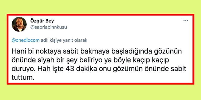 Sıkıntıdan Kafayı Yerken Yaptıkları Saçma ve Komik Davranışlarla Hepimizi Güldüren 18 Takipçi