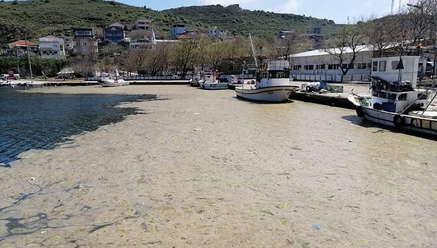 Marmara Denizi'ne girmek sağlıklı mı?
