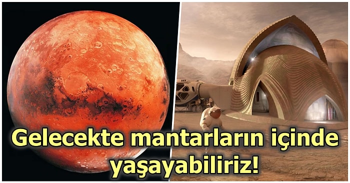 Başka Gezegende Görüşmek Üzere! Bilim İnsanları NASA'daki Fotoğraflara Göre Mars'ta Yaşam Olduğunu Açıkladı