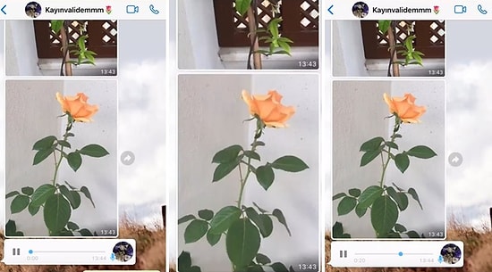 Çiçeklerine Aile Üyelerinin İsimlerini Veren Kaynanasından Gelen Sesli Mesajı Paylaşan Şanslı Gelin