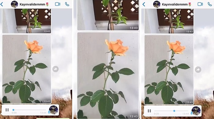 Çiçeklerine Aile Üyelerinin İsimlerini Veren Kaynanasından Gelen Sesli Mesajı Paylaşan Şanslı Gelin