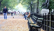 İlginç Bir Yatırım! Bir Türk Aile, Central Park’ta 10 Bin Dolara Bank Satın Aldı