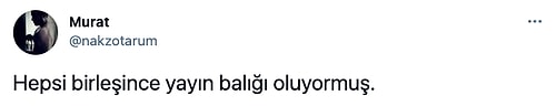 Dünyaca Ünlü 16 Güzelden İlham Alınarak Oluşturulan ‘Mükemmel Kadın’ Hepinizi Bir Miktar Dumur Edecek!