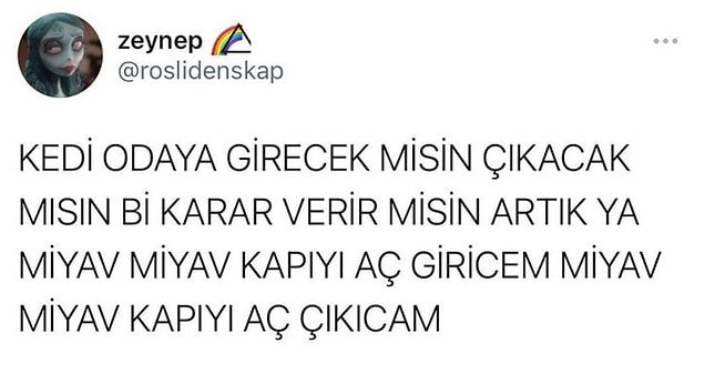 14. Klasik kediler...