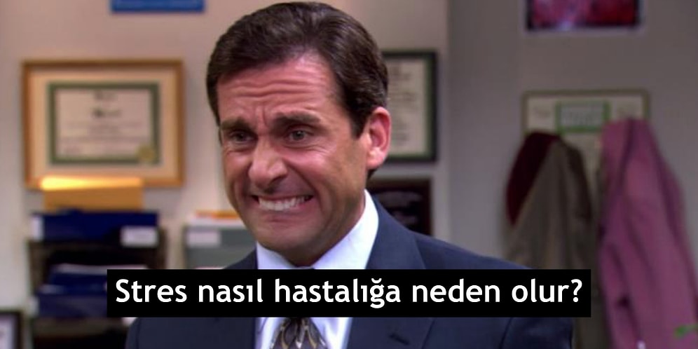 Yine "Neden" Diye Sorduk! Enteresan Sorulara Verilmiş Cevaplar