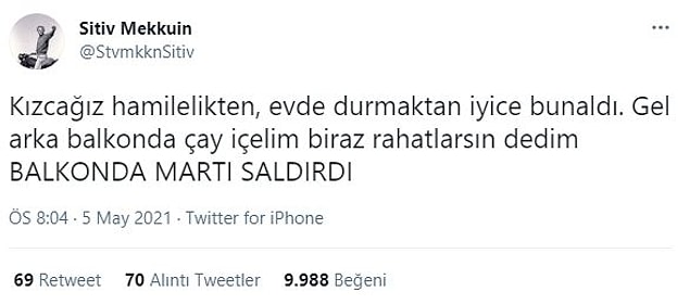 7. Sizin derdiniz nedir martılar???