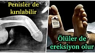 Bunlar Gerçek mi: Penis Hakkında Ufak Çaplı Kalp Krizi Yaşatacak Şu Ana Kadar Duymadığımız 20 Bilgi