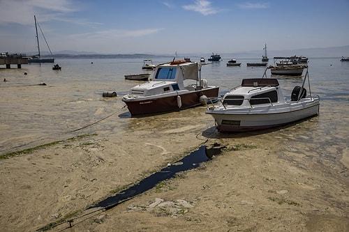 Marmara Denizi'nin Dibi de Salya ile Kaplanıyor