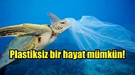 Plastiksiz Bir Yaşam İçin Acilen Hayata Geçirmen Gereken 13 Adım