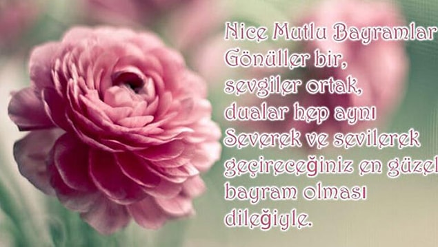 7. Anne baba adına toplu mesaj atma görevi de sizdedir.