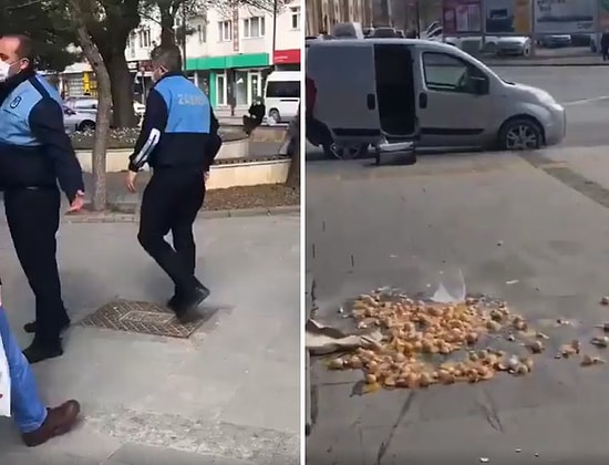 Zabıtanın, Sokakta Yumurta Satan Yaşlı Adamın Yumurtalarını Yere Attığı İddia Edildi