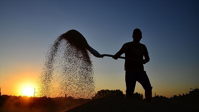 Türkiye’de Çiftçi Sayısı Son 10 Yılda Yüzde 53 Azaldı