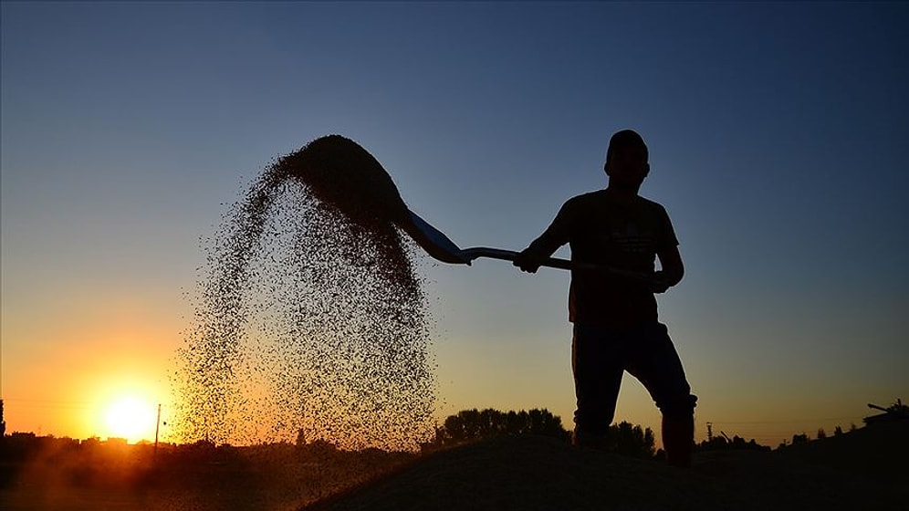 Türkiye’de Çiftçi Sayısı Son 10 Yılda Yüzde 53 Azaldı