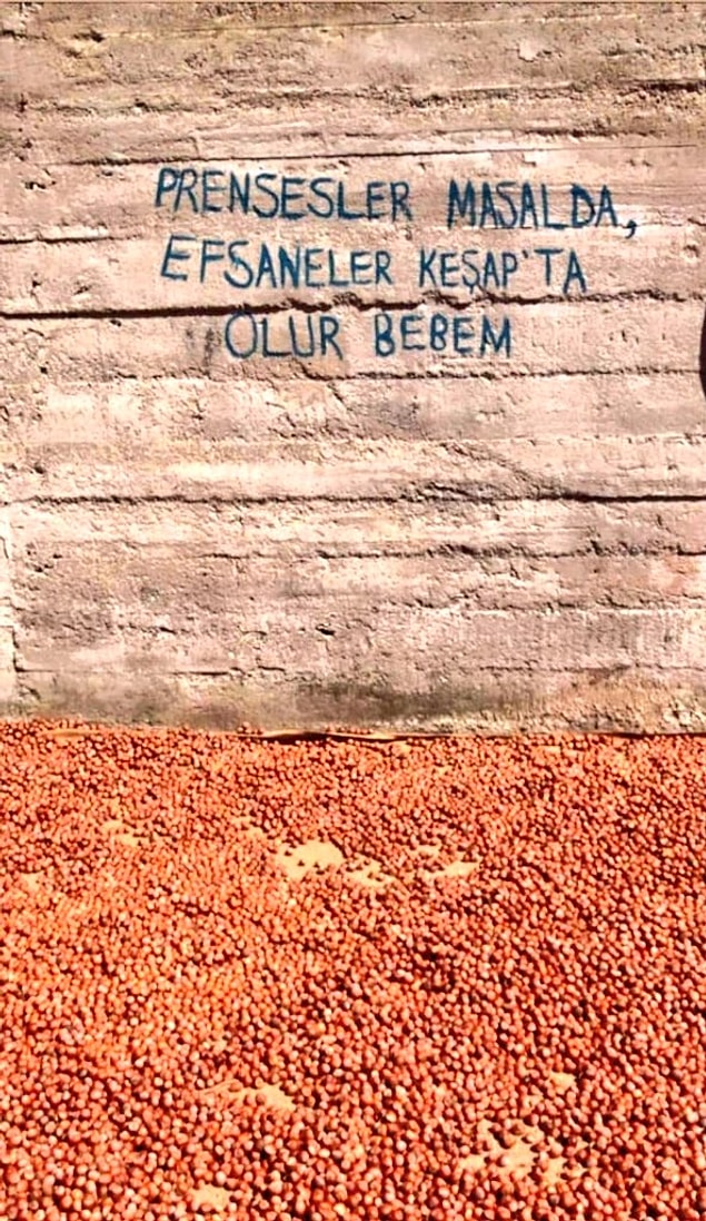 4. Duvar yazıları dahi iddialı ve kendine güvenen cinstendir.
