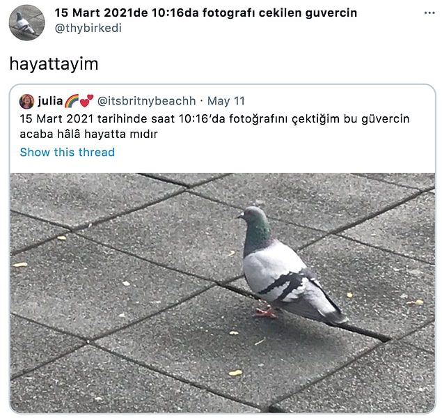 1. 'Başka yerde yaşayamam yaa' tayfa gelmeden...😂