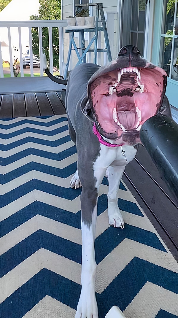 2. Она любит фен