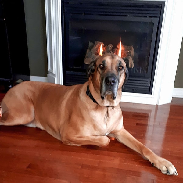 9. Прибытие Люцифера на Землю